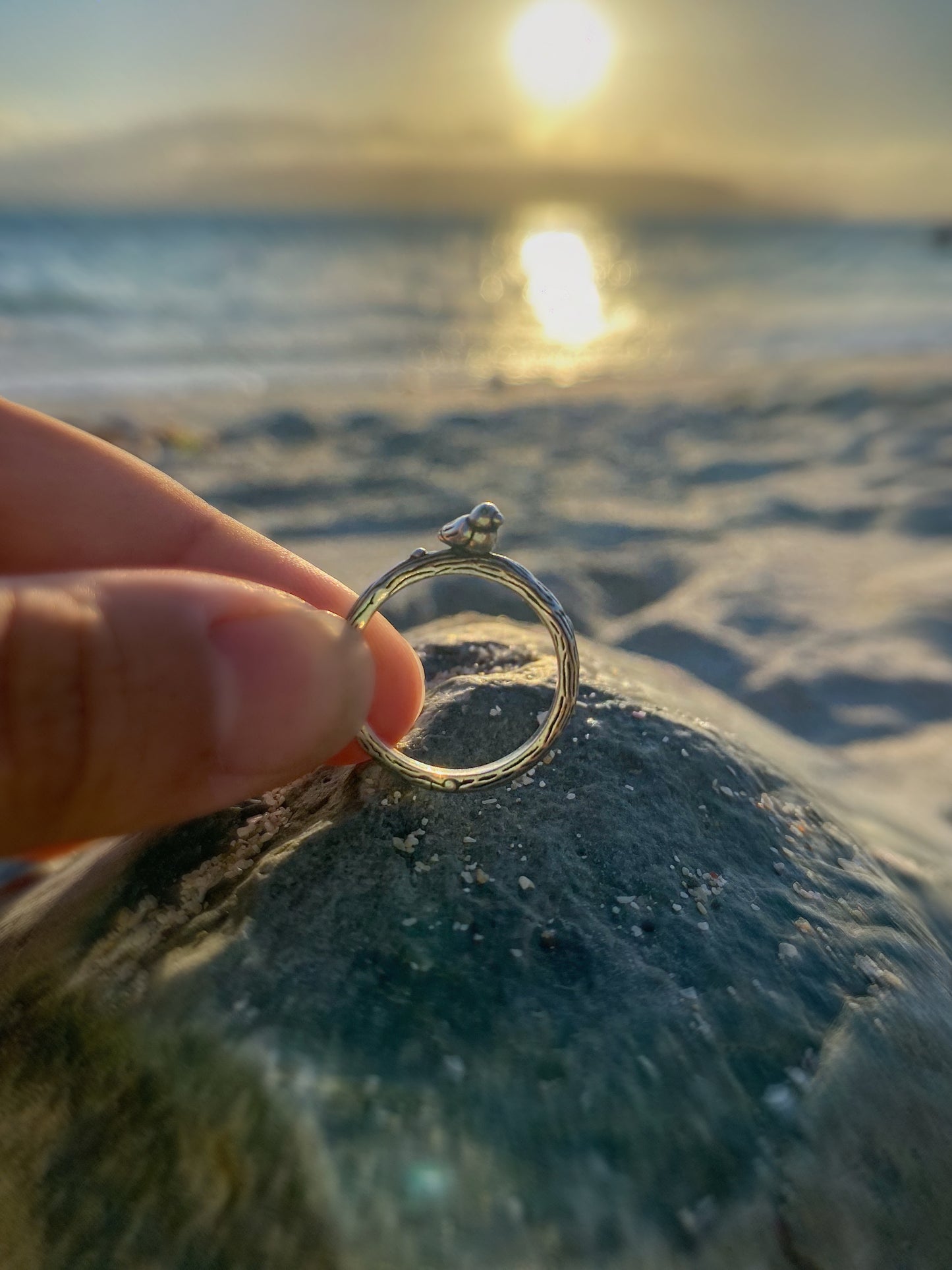 Anillo pajarito en rama