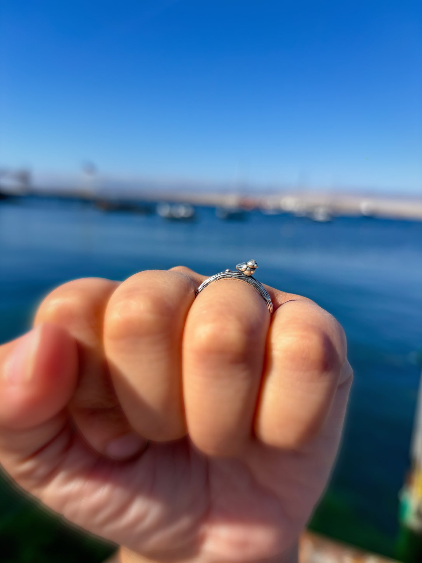 Anillo pajarito en rama