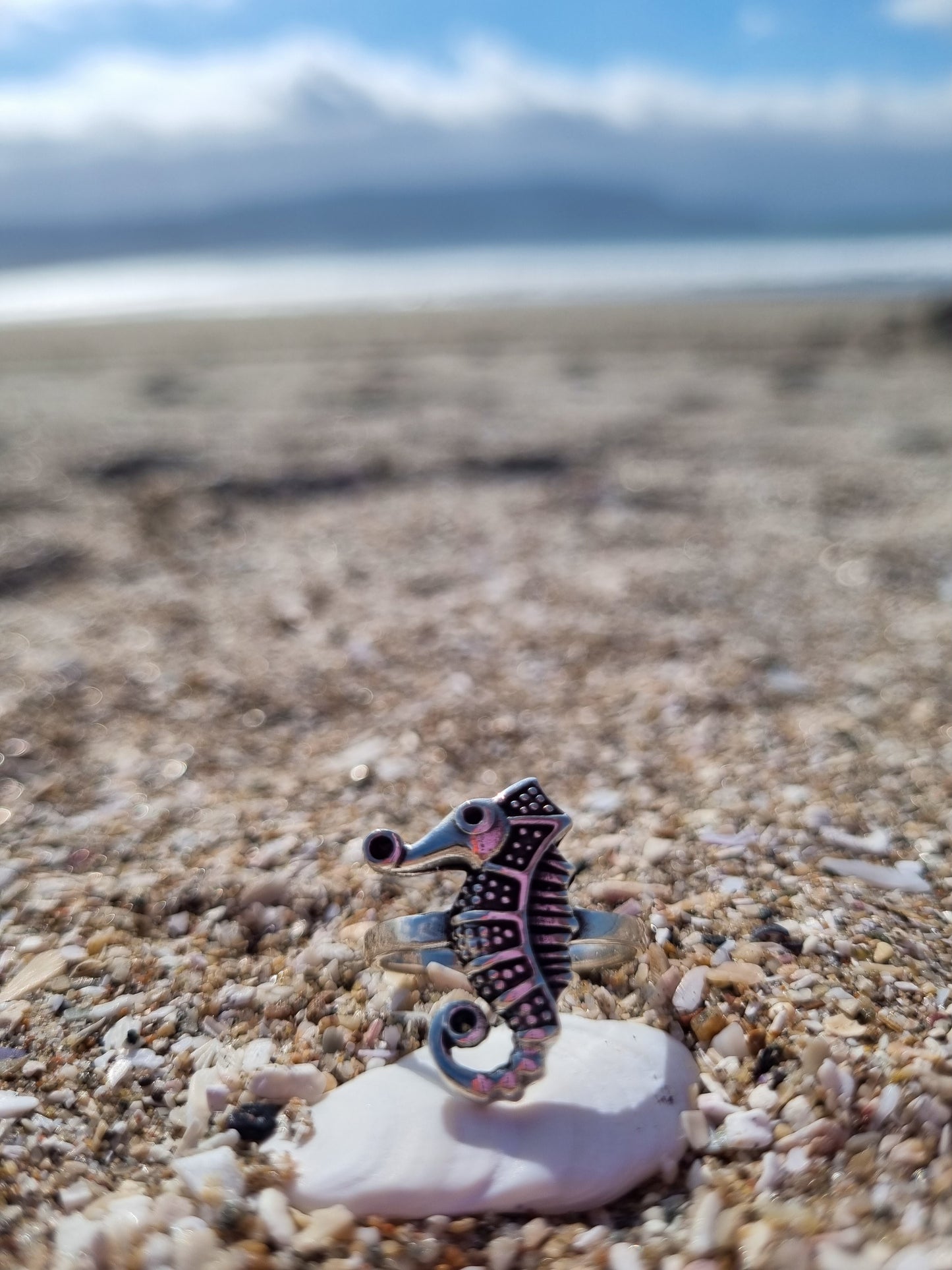 Anillo caballito de mar