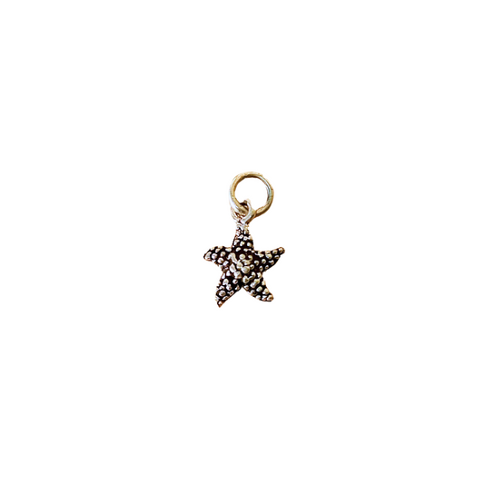 Charm estrella de mar plata