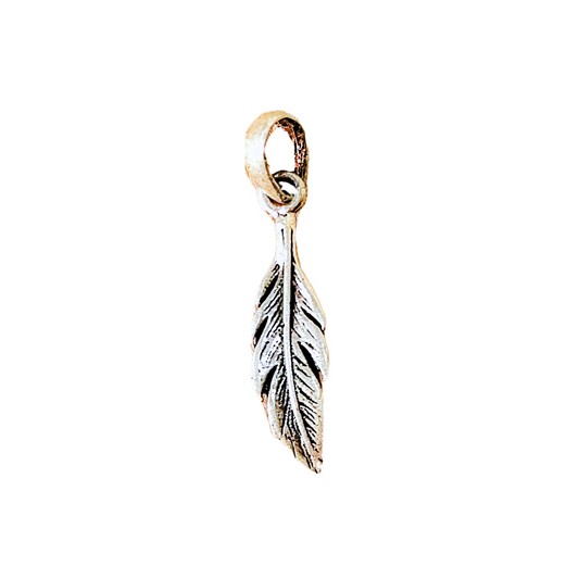 Charm pluma plata